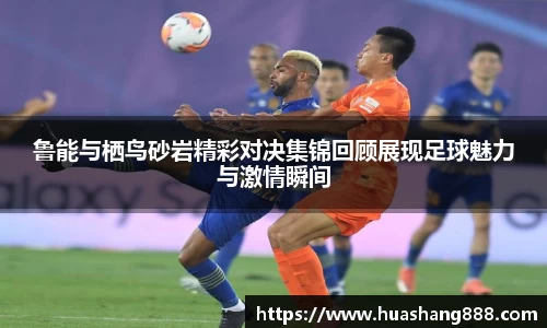 bsports官网入口