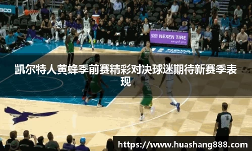 bsports官网入口